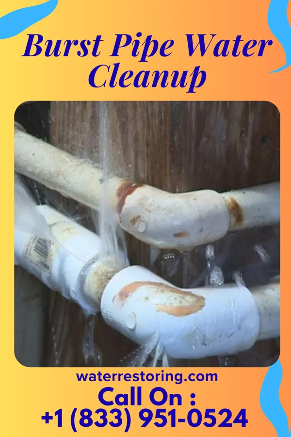 Burst Pipe Water Cleanup in Adelphi, OH