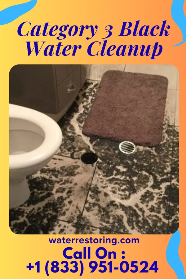 Category 3 Black Water Cleanup in Adelphi, OH