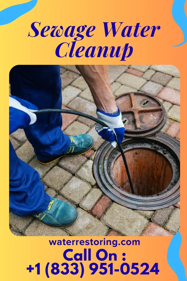 Sewage Water Cleanup in Adelphi, OH